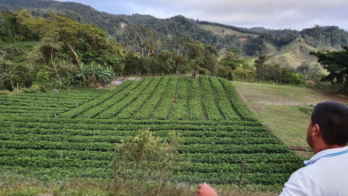 Costa Rica - El Bueyerito – Bild 3