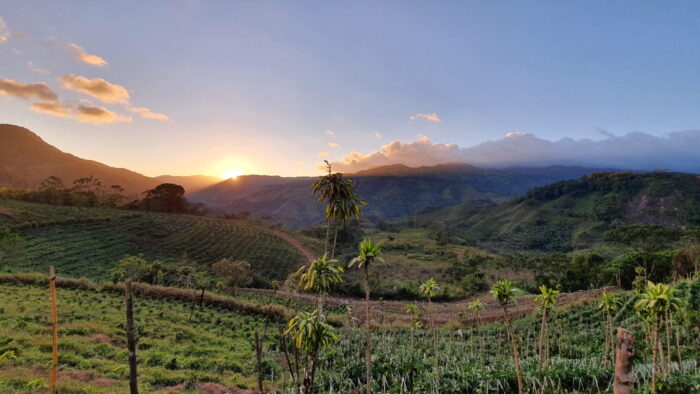 Costa Rica - El Bueyerito – Bild 5