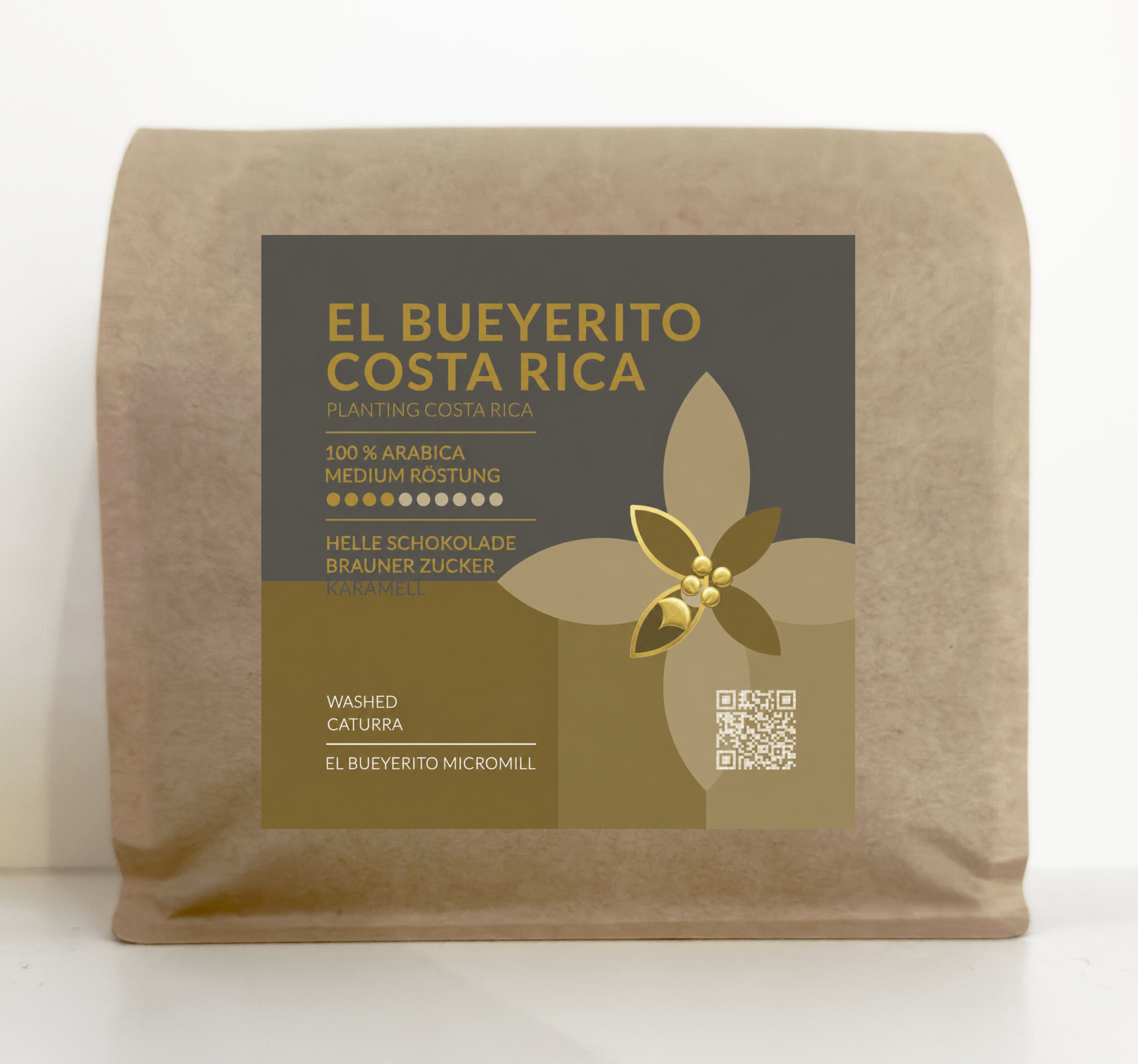 Costa Rica - El Bueyerito