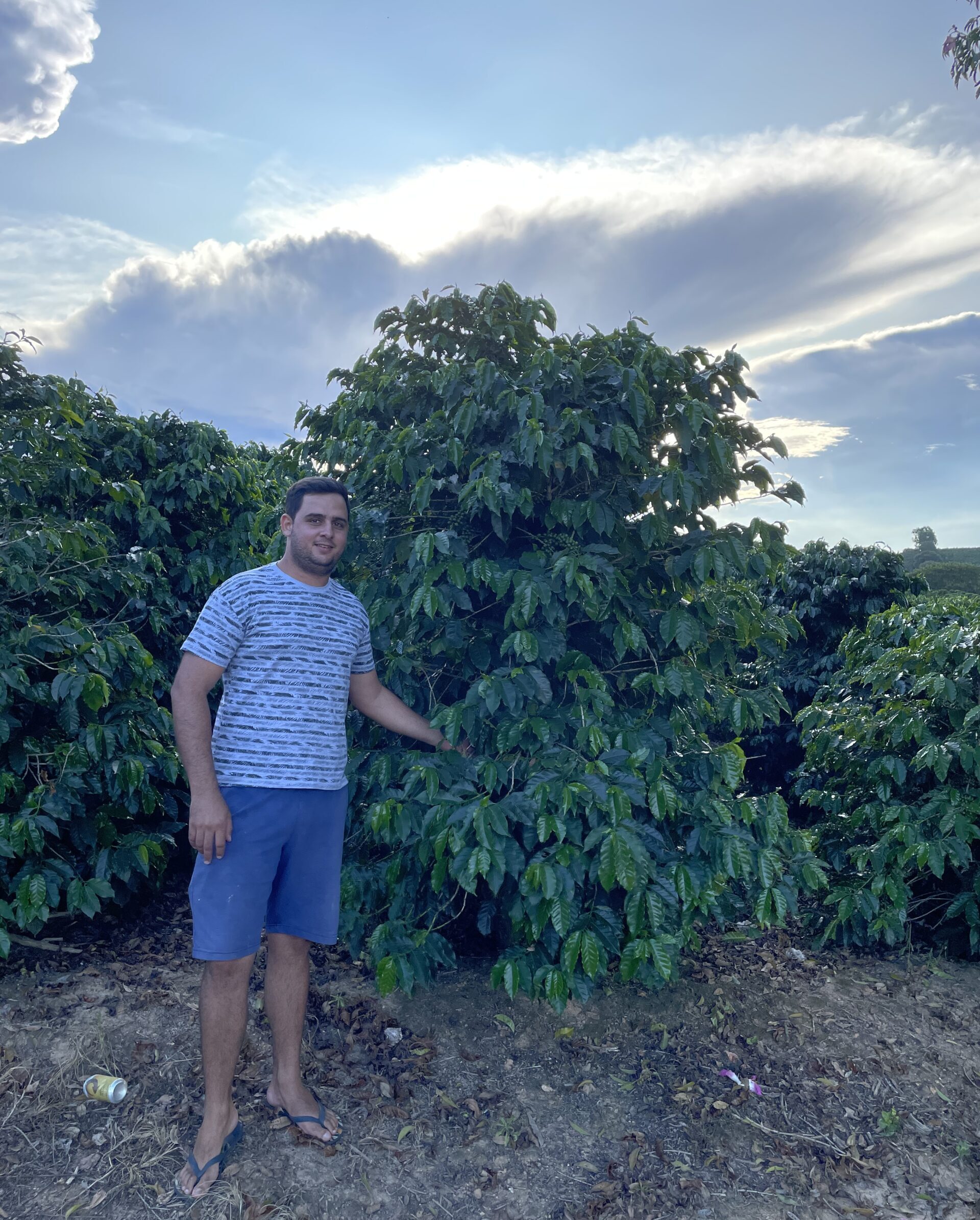 Brasil - Sul de Minas – Bild 5