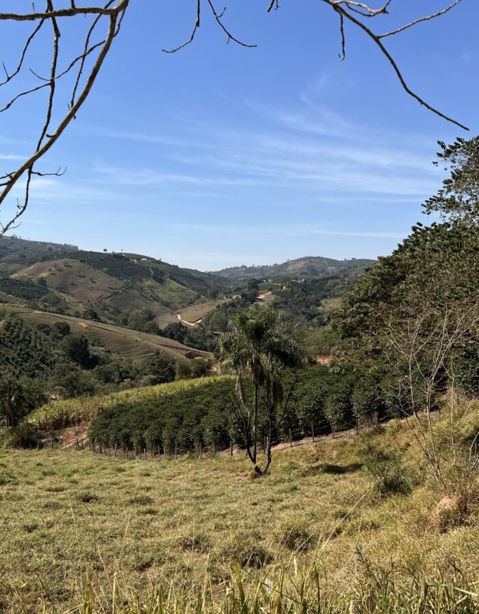 Brasil - Sitio Cachoeira Grande – Bild 2