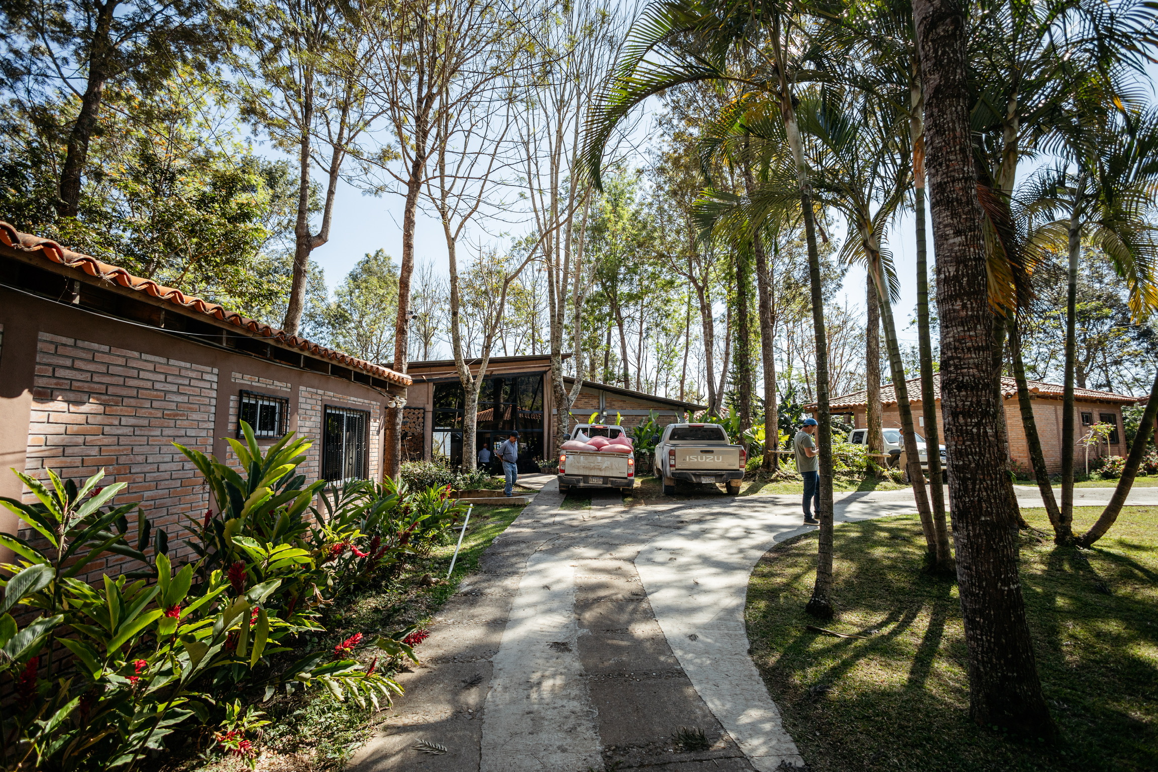 Honduras Capucas Coop. - entkoffeiniert – Bild 3